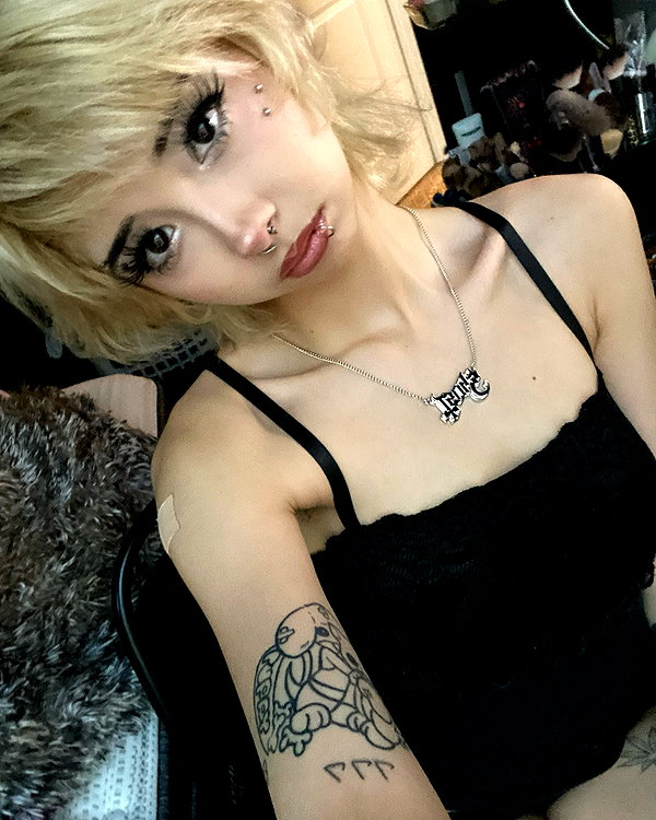 tecknopuppy instagram image archive image