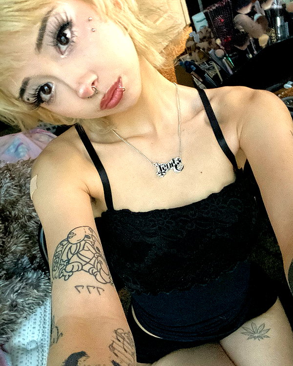 tecknopuppy instagram image archive image