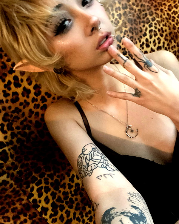 tecknopuppy instagram image archive image