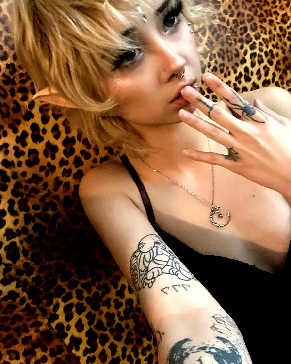 tecknopuppy instagram image archive image
