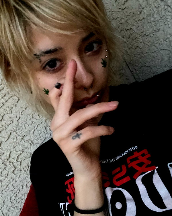 tecknopuppy instagram image archive image