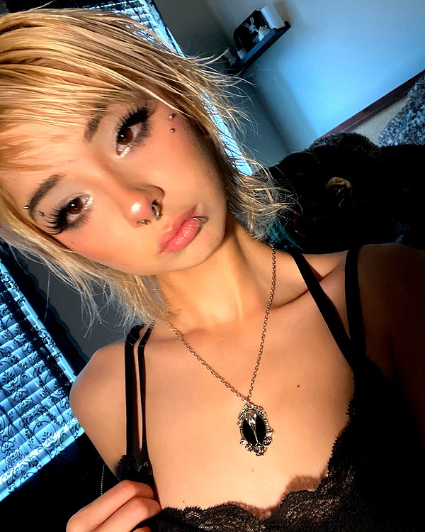 tecknopuppy instagram image archive image