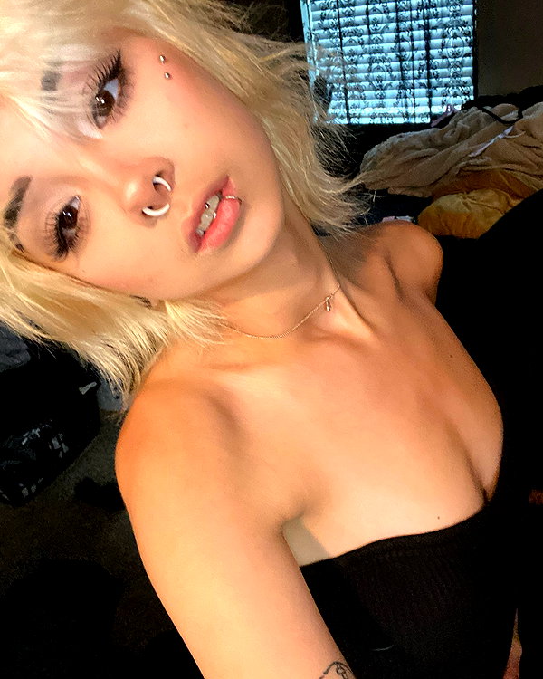 tecknopuppy instagram image archive image