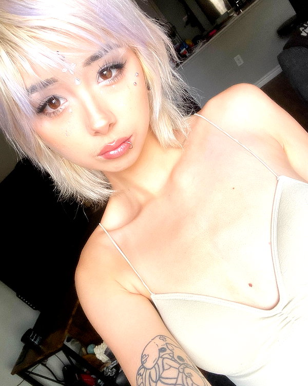 tecknopuppy instagram image archive image