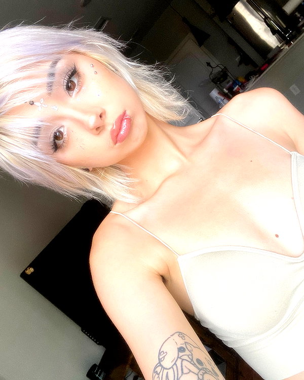 tecknopuppy instagram image archive image