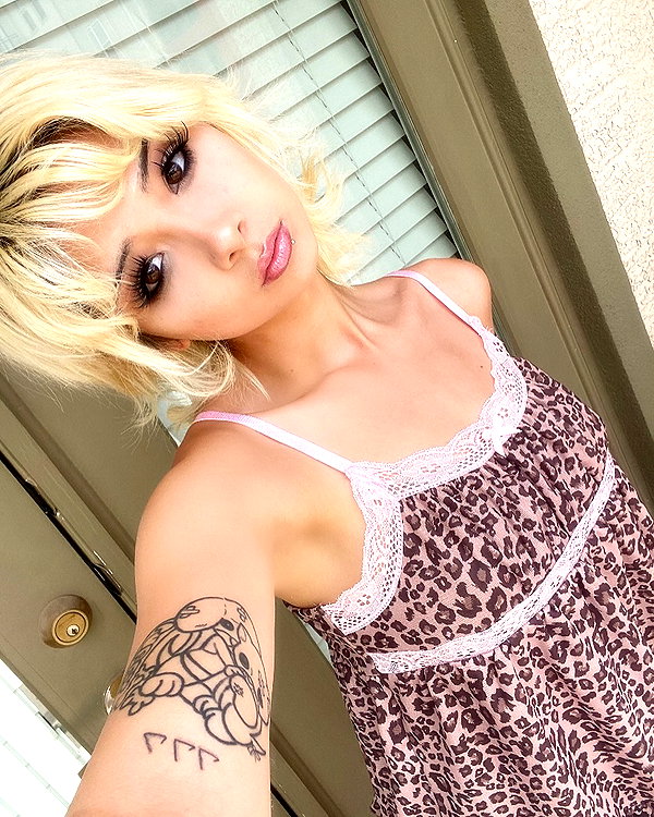 tecknopuppy instagram image archive image
