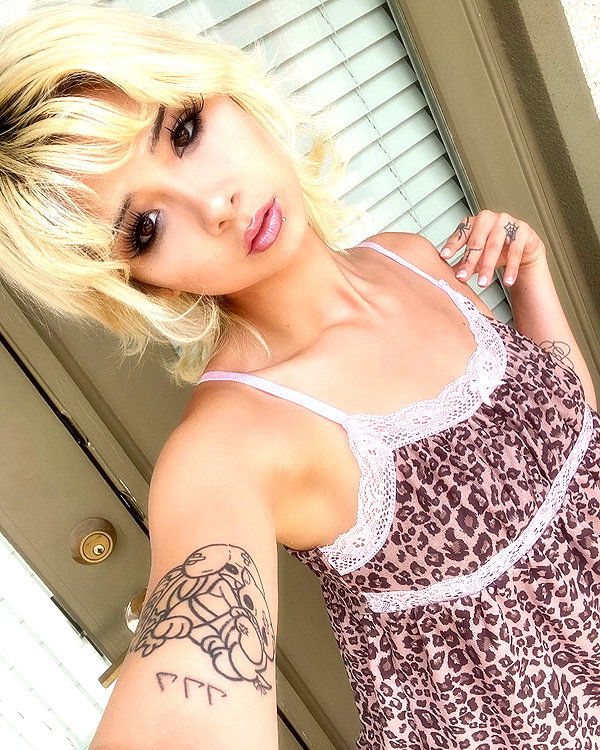 tecknopuppy instagram image archive image