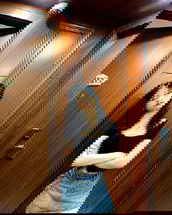 tgiangya image ~ Altpins