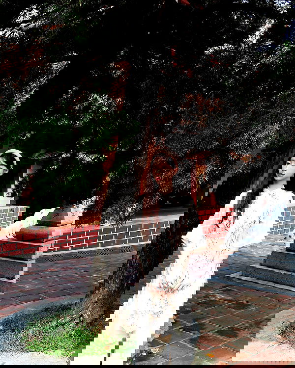 tgiangya image ~ Altpins