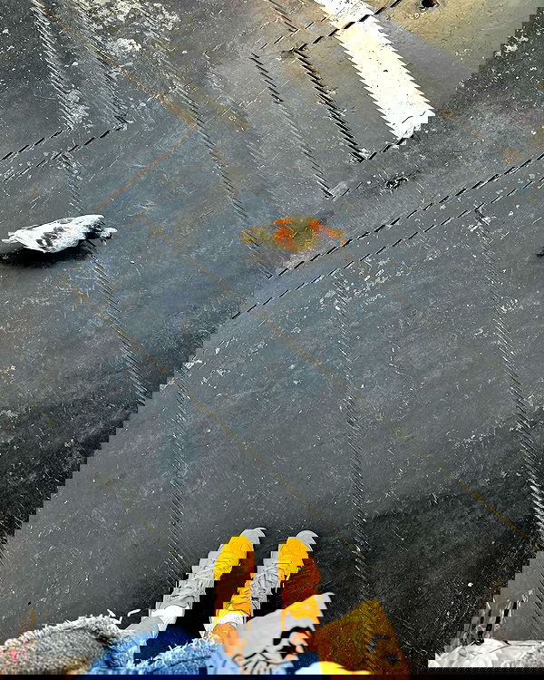 tgiangya image ~ Altpins