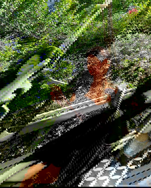 tgiangya image ~ Altpins