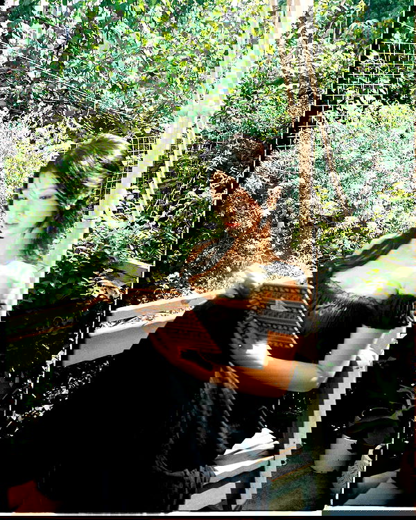 tgiangya image ~ Altpins