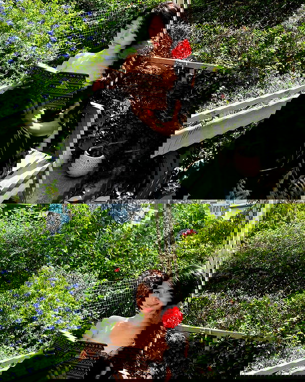 tgiangya image ~ Altpins