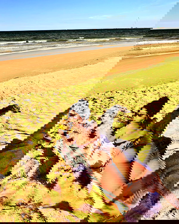 tgiangya image ~ Altpins