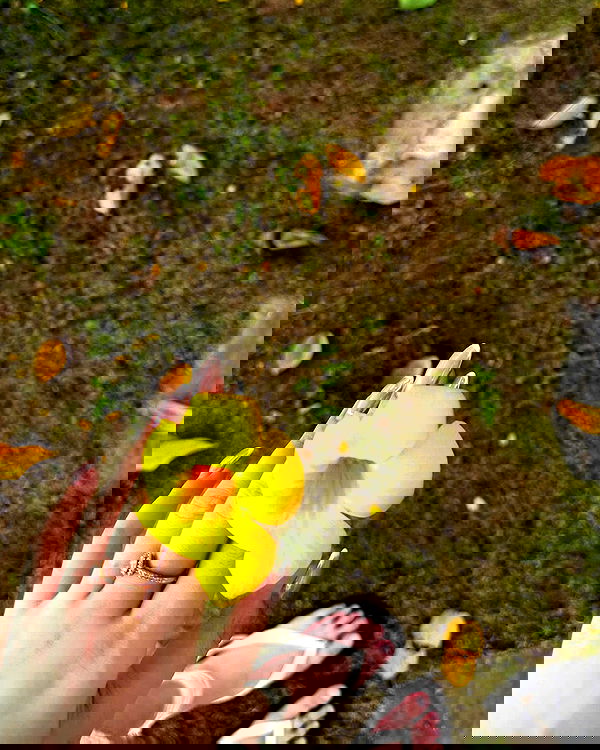 tgiangya image ~ Altpins