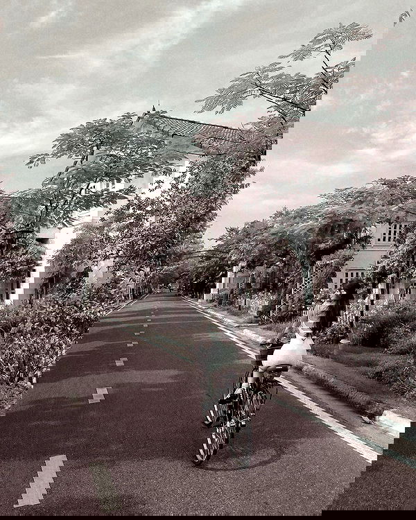 tgiangya image ~ Altpins