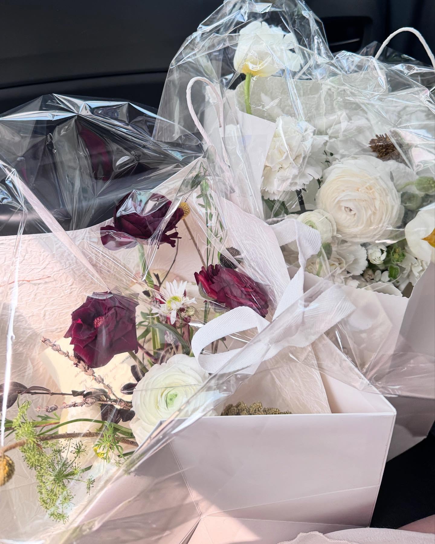 tgiangya instagram image archive image