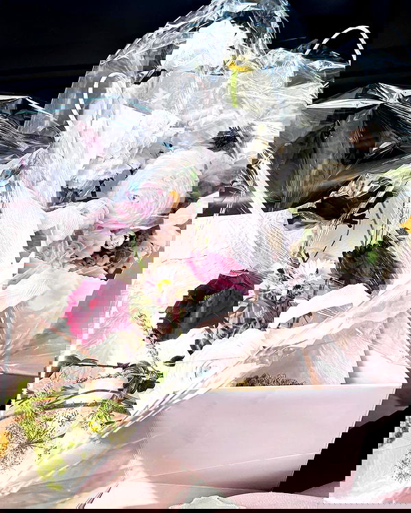 tgiangya image ~ Altpins