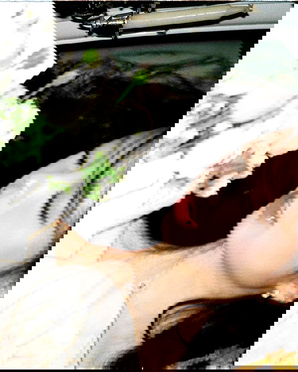 tgiangya image ~ Altpins