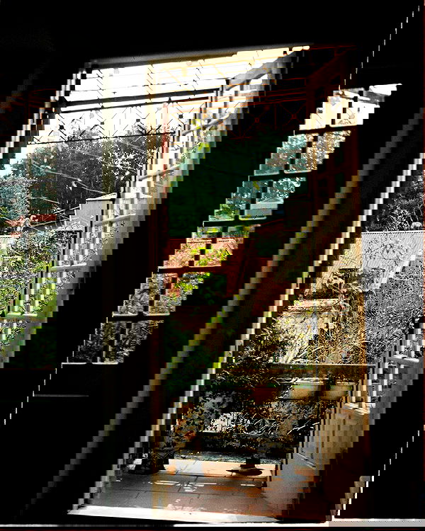 tgiangya image ~ Altpins