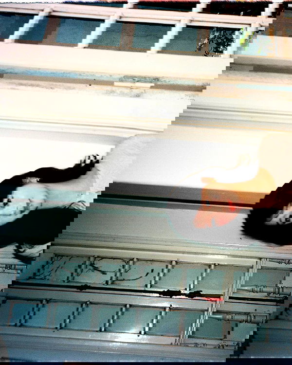 tgiangya image ~ Altpins