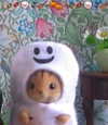 tgnghi.2512 Altpins Profile Picture