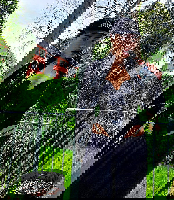 theaterrestrial theaterrestrial archive image