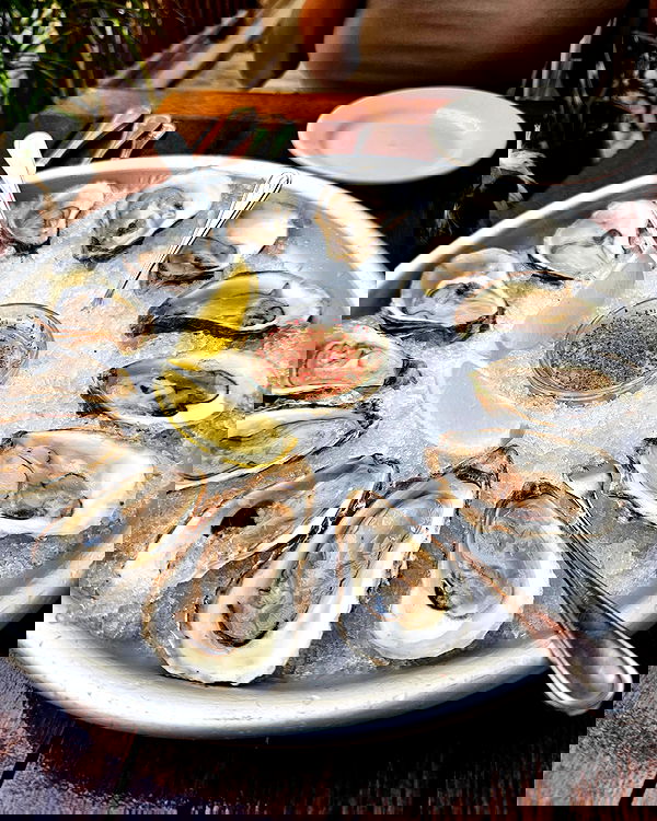 theaterrestrial theaterrestrial archive image