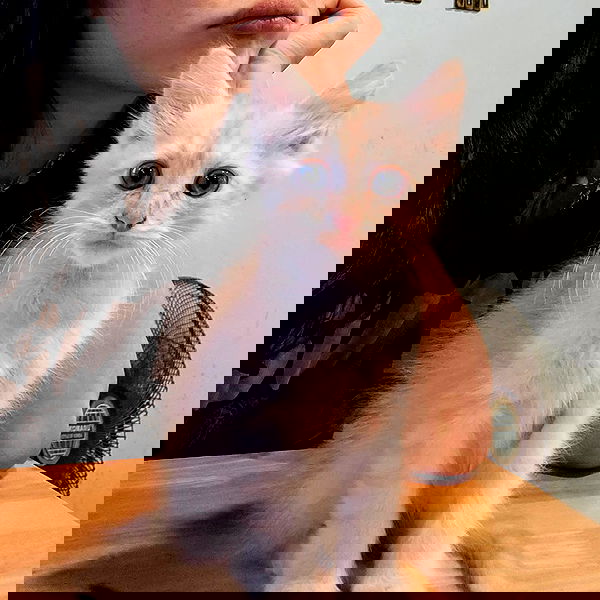 theaterrestrial theaterrestrial archive image