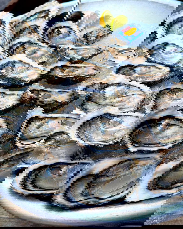 theaterrestrial theaterrestrial archive image