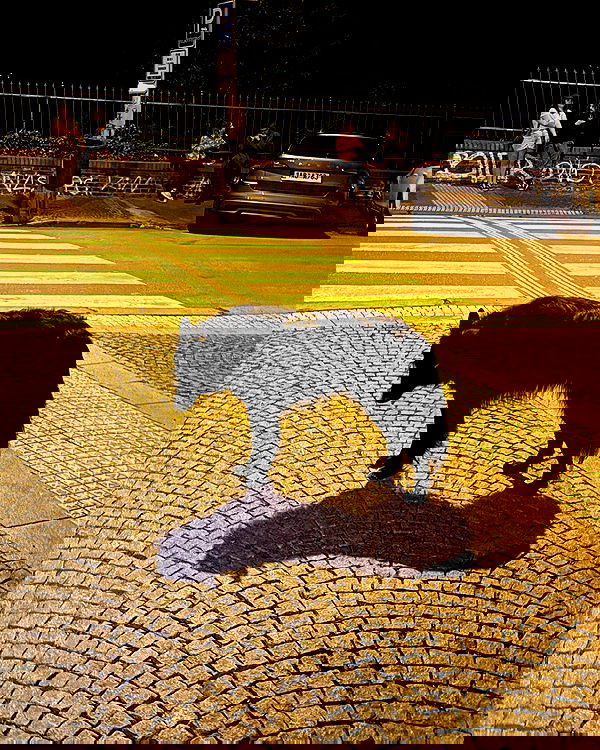 theaterrestrial theaterrestrial archive image