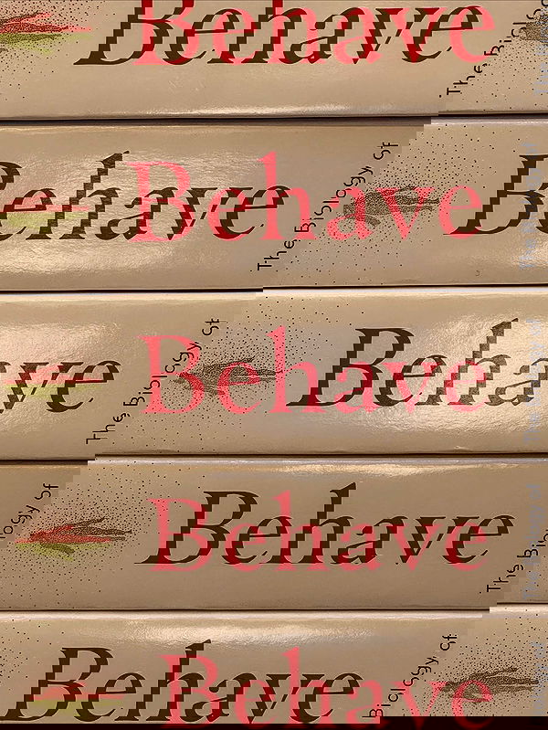 theaterrestrial theaterrestrial archive image