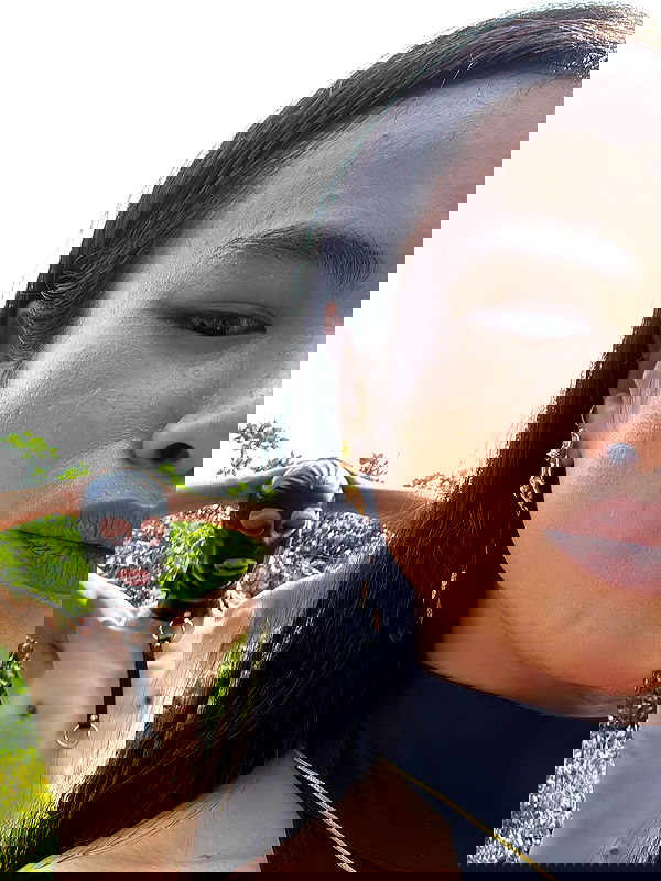 theaterrestrial theaterrestrial archive image