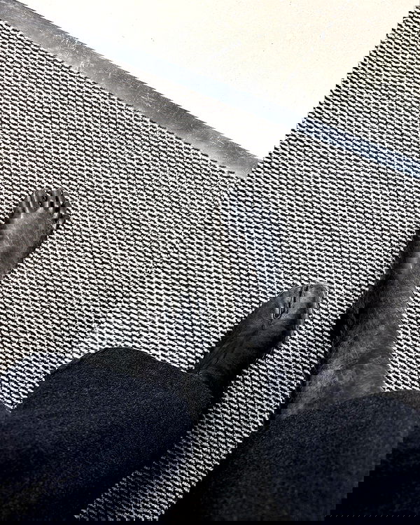 theaterrestrial theaterrestrial archive image