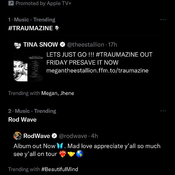 theestallion theestallion archive image