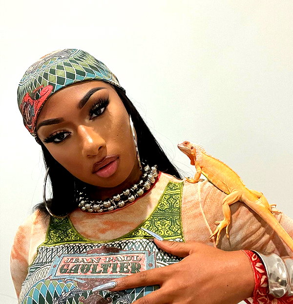 theestallion instagram image archive image