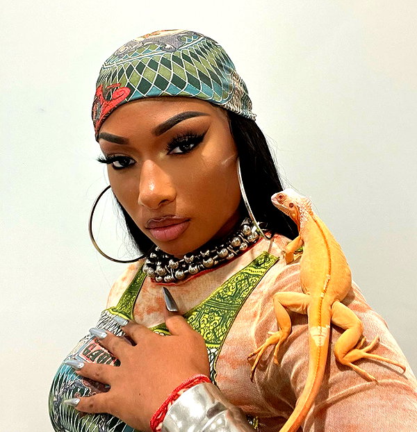 theestallion instagram image archive image