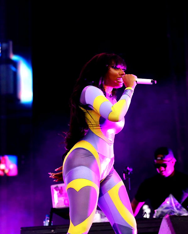 theestallion theestallion archive image