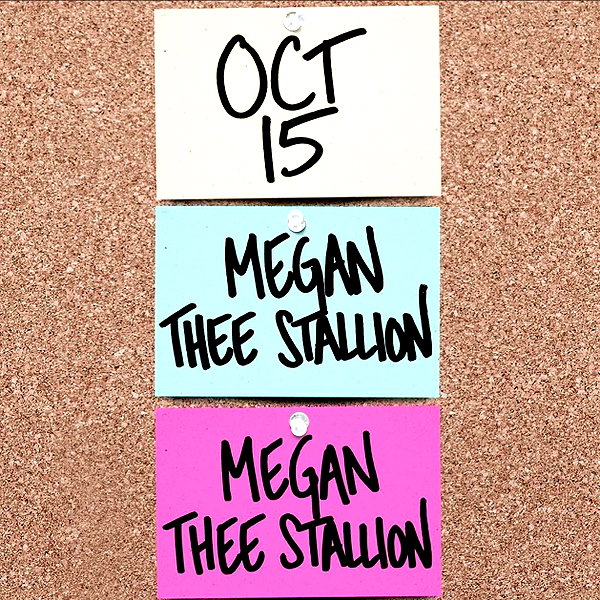 theestallion instagram image archive image