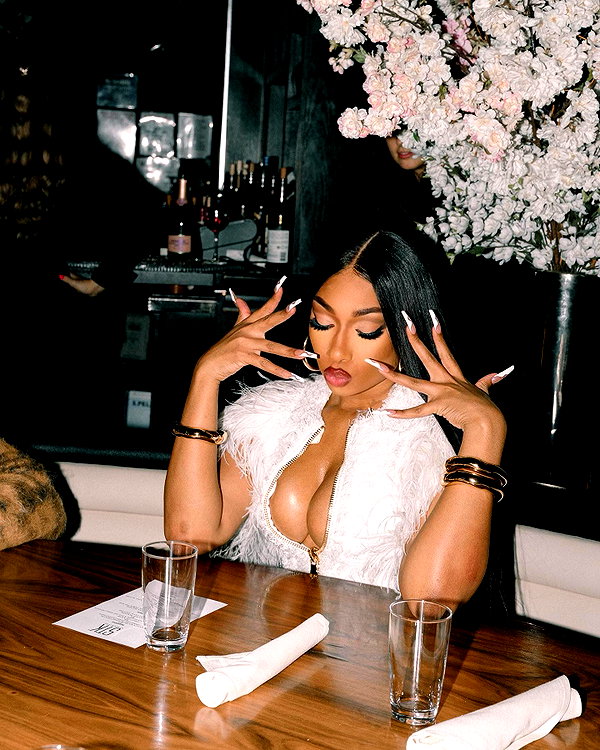 theestallion instagram image archive image
