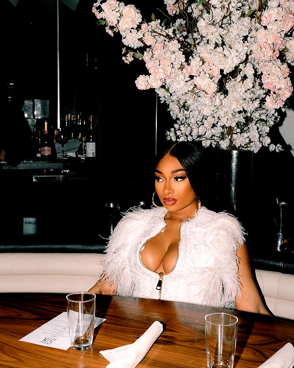 theestallion instagram image archive image