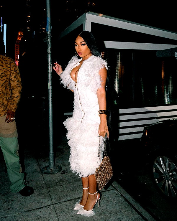 theestallion instagram image archive image