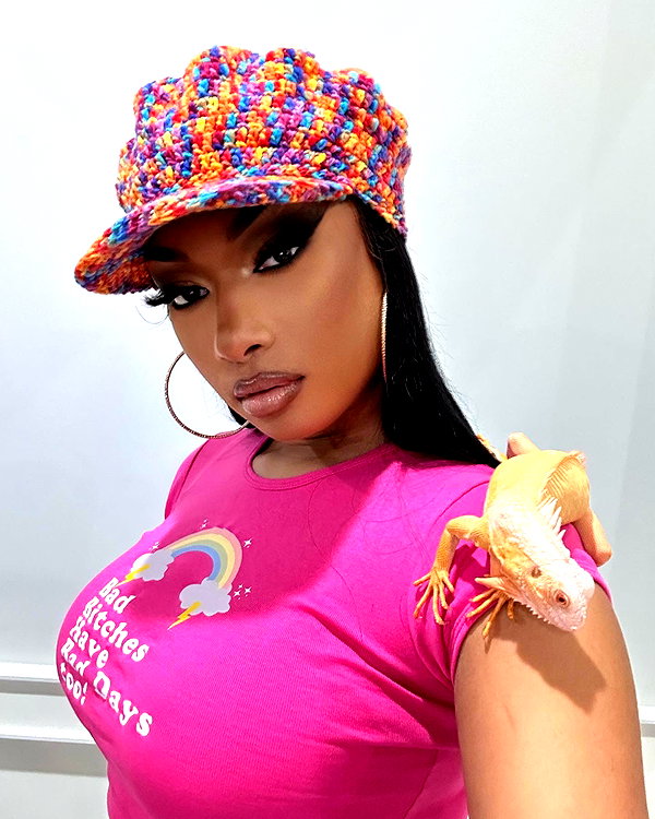 theestallion instagram image archive image