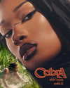 theestallion Altpins Profile Picture