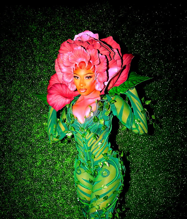 theestallion instagram image archive image