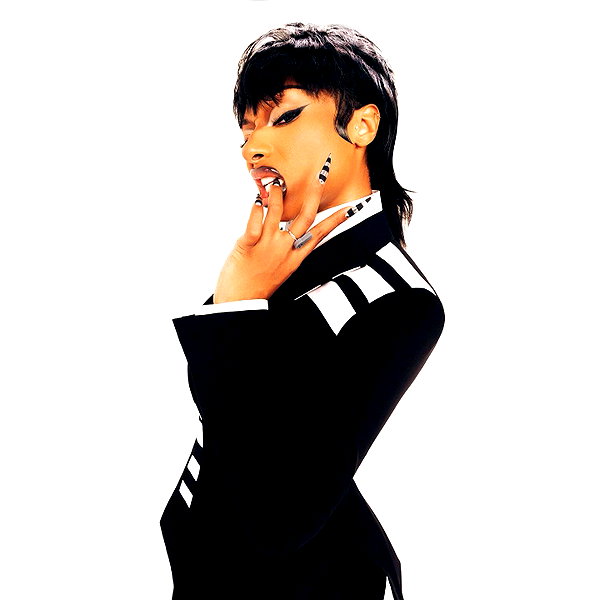 theestallion instagram image archive image