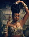 theestallion Altpins Profile Picture