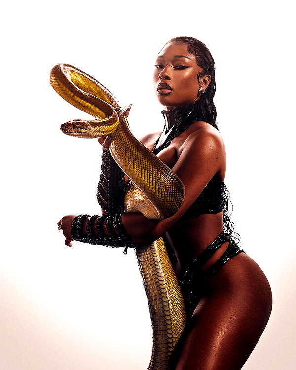 theestallion instagram image archive image
