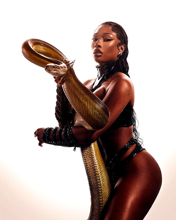 theestallion instagram image archive image