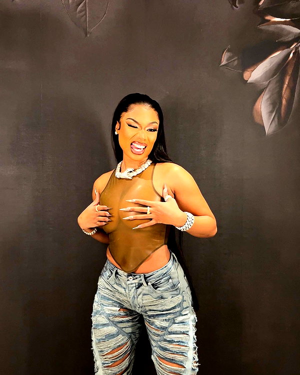 theestallion instagram image archive image